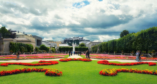 View of flowers in park against cloudy sky