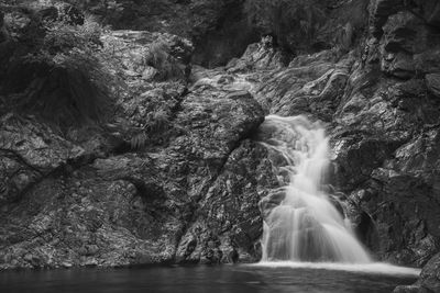 Scenic view of waterfall in forest