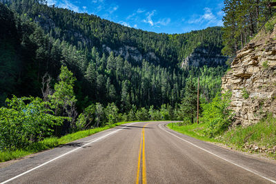 Road passing through forest