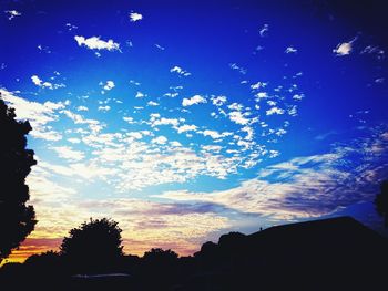 Low angle view of silhouette trees against sky at sunset