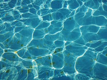 Full frame shot of swimming pool
