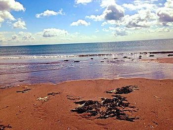 Scenic view of beach against sky