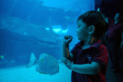 Close-up of boy swimming in aquarium