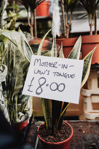 Close-up of text on plant