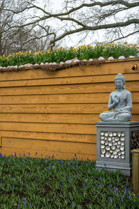 Man sitting on stone wall in yard against building