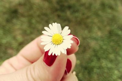 Close-up of woman hand holding flower