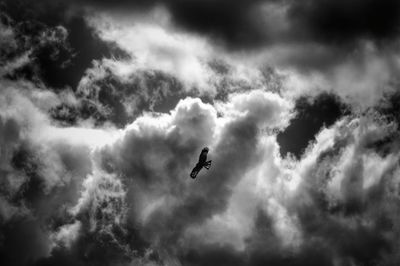 Low angle view of silhouette bird flying against sky