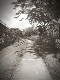 Road amidst trees against sky