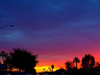 Silhouette of trees at sunset