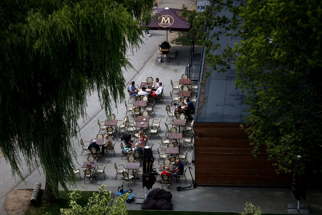 HIGH ANGLE VIEW OF PEOPLE ON PLANTS BY TREE