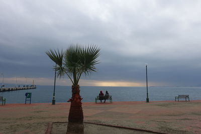 Palm tree on beach against sky