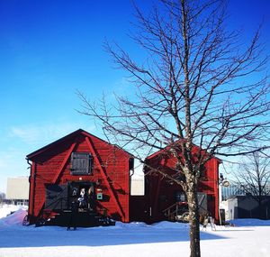 Bare tree by house against sky during winter