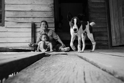 Surface level of woman with boy and dog sitting on wood