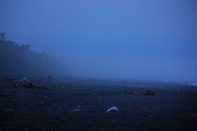 Scenic view of shore against sky