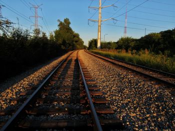 Railroad tracks leading towards trees