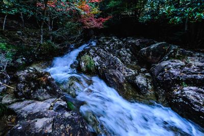 Stream flowing through rocks in forest