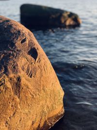 Close-up of rock on beach