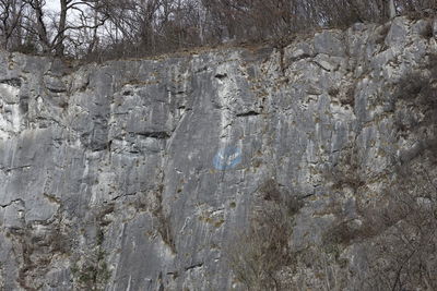 Full frame shot of rock