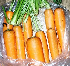 Close-up of vegetables
