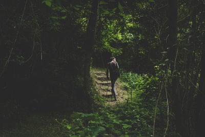 Rear view of man walking in forest