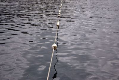 High angle view of fishing net in water