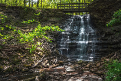 Water flowing through rocks in forest