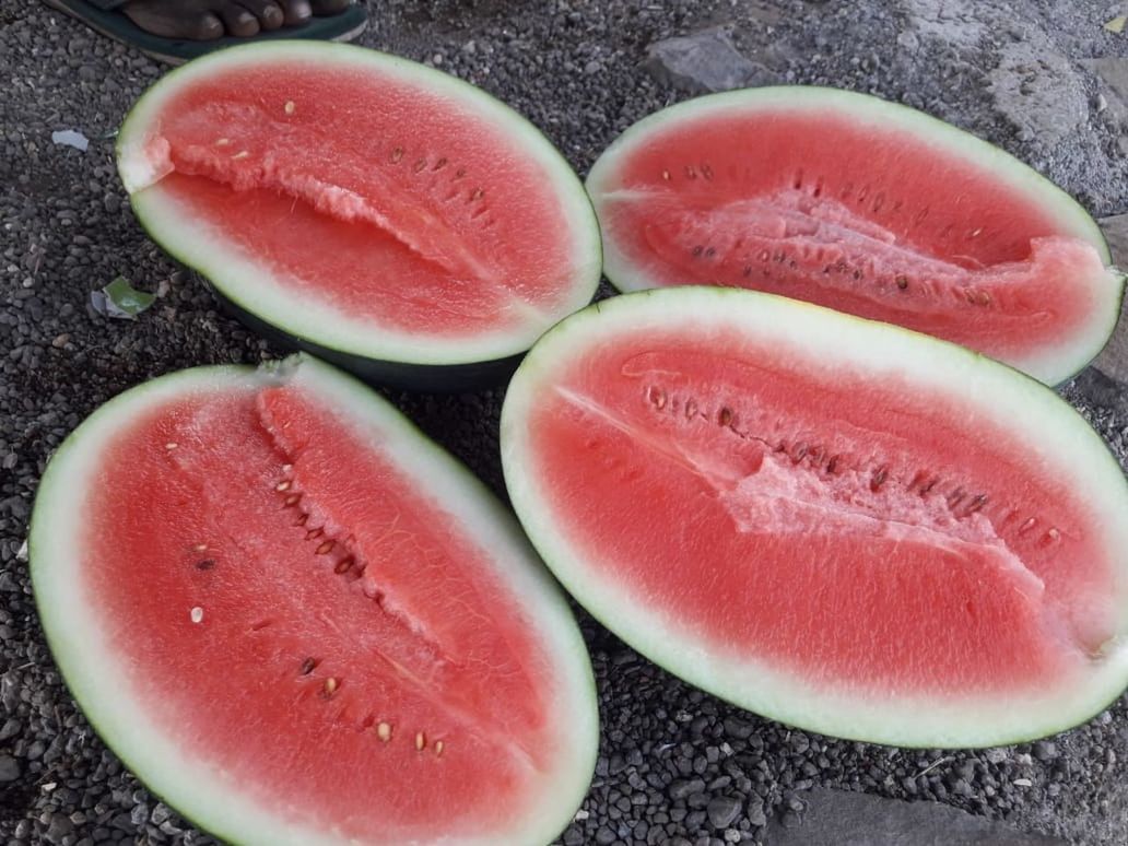 watermelon, food, food and drink, melon, plant, freshness, healthy eating, produce, slice, fruit, wellbeing, no people, high angle view, close-up, still life, cross section, red, indoors