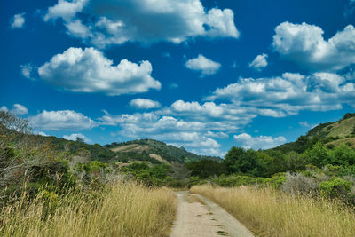 Dirt road along countryside landscape