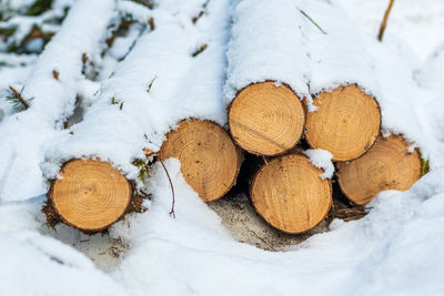 Stack or pile composed of blocks, pieces or logs of wood in winter or spring with snow