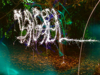 Illuminated light trails by plants at night