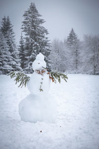 Snow covered plant on field