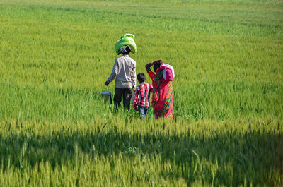 Rear view of family walking in field