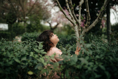 Portrait of boy on tree