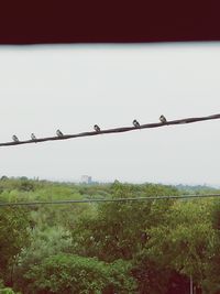 Barbed wire on field against clear sky