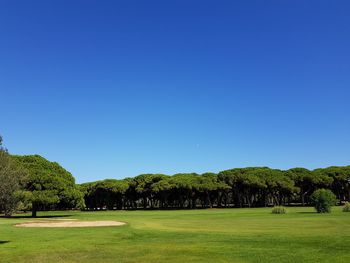Scenic view of golf course against clear blue sky