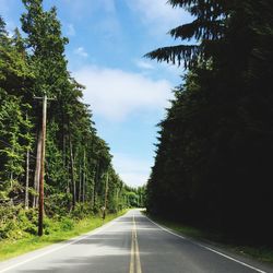 Empty road along trees