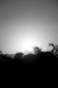 Silhouette trees against clear sky