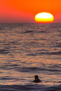 Scenic view of sea during sunset