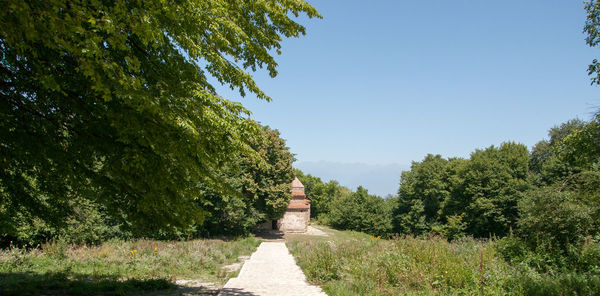 Footpath amidst trees against clear sky