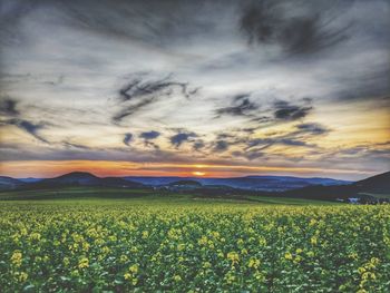 Scenic view of field against cloudy sky