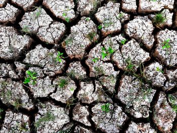 Full frame shot of drought land