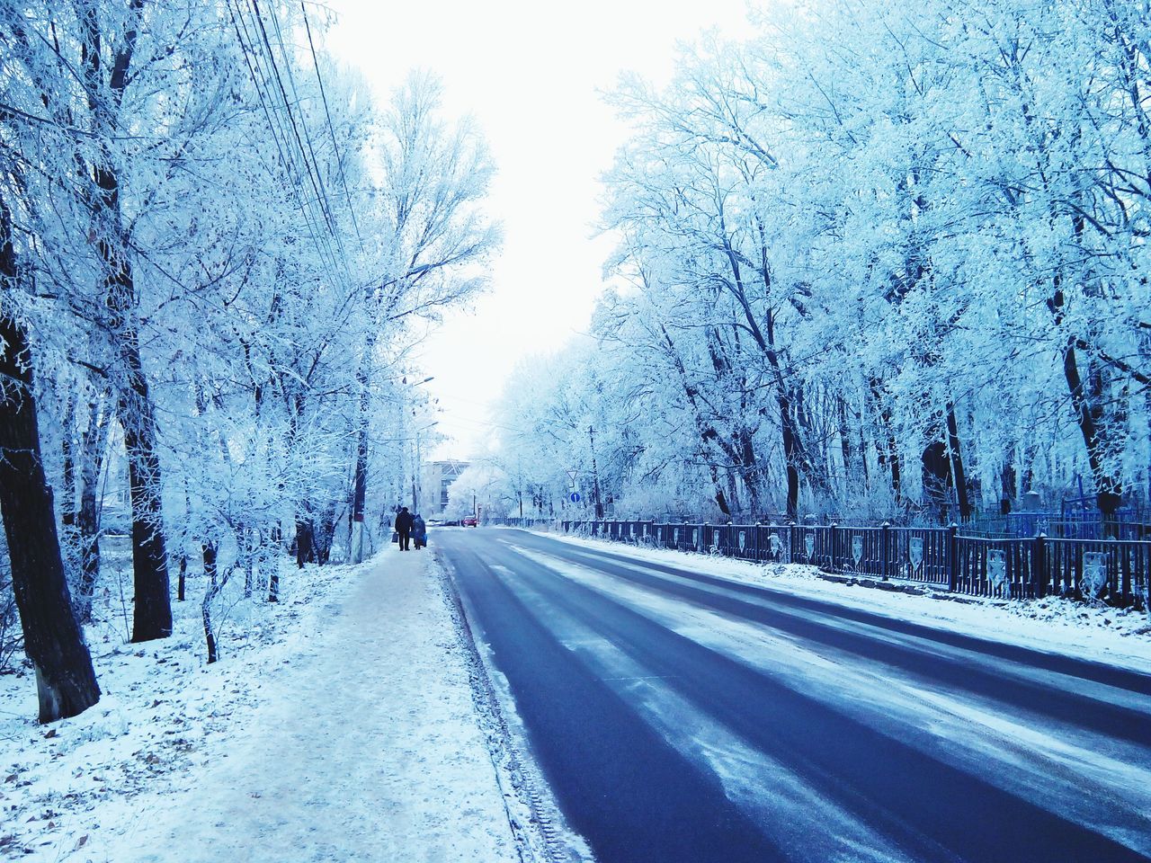 snow, winter, cold temperature, the way forward, season, transportation, diminishing perspective, weather, road, vanishing point, tree, covering, treelined, street, nature, bare tree, white color, frozen, covered, long