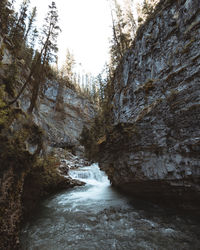 Scenic view of waterfall in forest