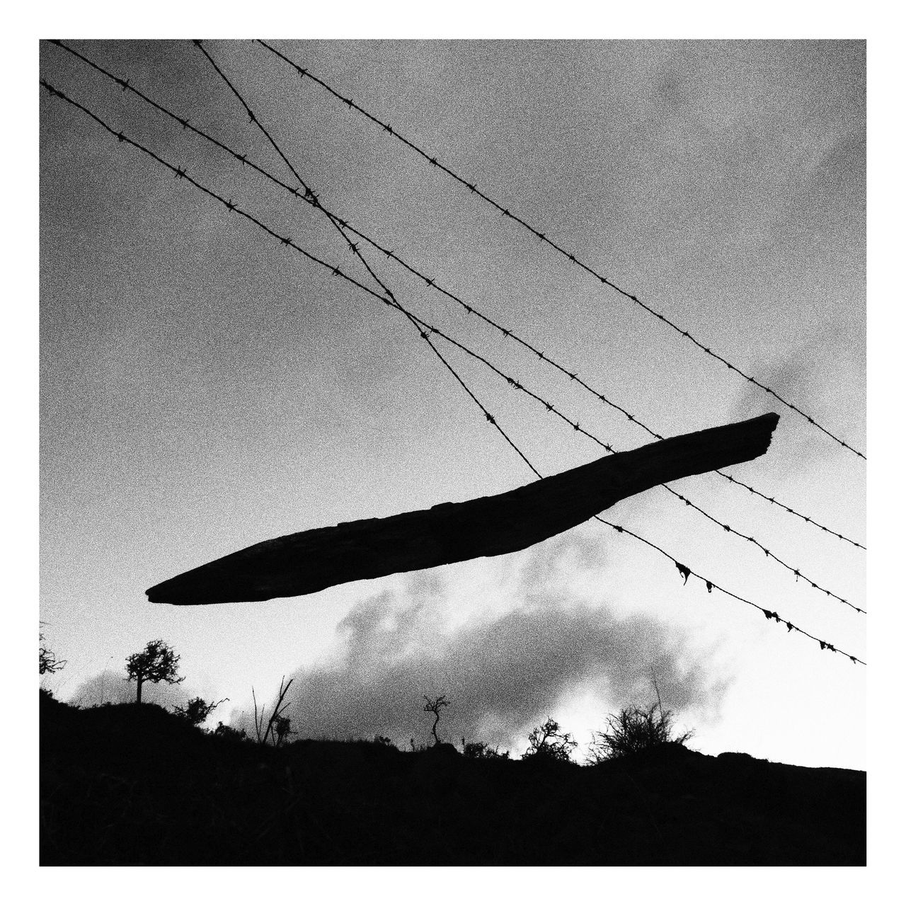 sky, wing, nature, auto post production filter, silhouette, no people, black and white, aircraft, transfer print, low angle view, monochrome photography, day, outdoors, cloud, animal, airplane, animal themes