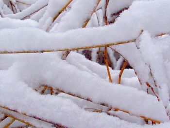 Close-up of frost on snow