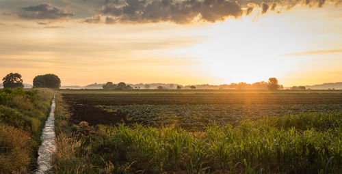 Scenic view of field against sky during sunset