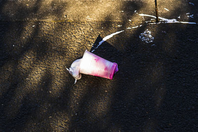 High angle view of pink umbrella on wet street