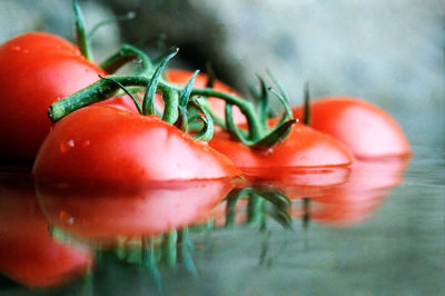 Closeup of tomatoes floating in water