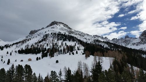 Low angle view of trees on snowcapped mountain against sky