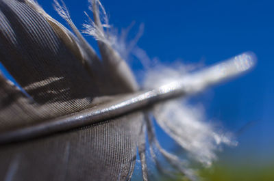 Close-up of rope against blue sky